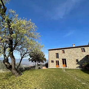 Il Vecchio Mandorlo , Quarrata Italia